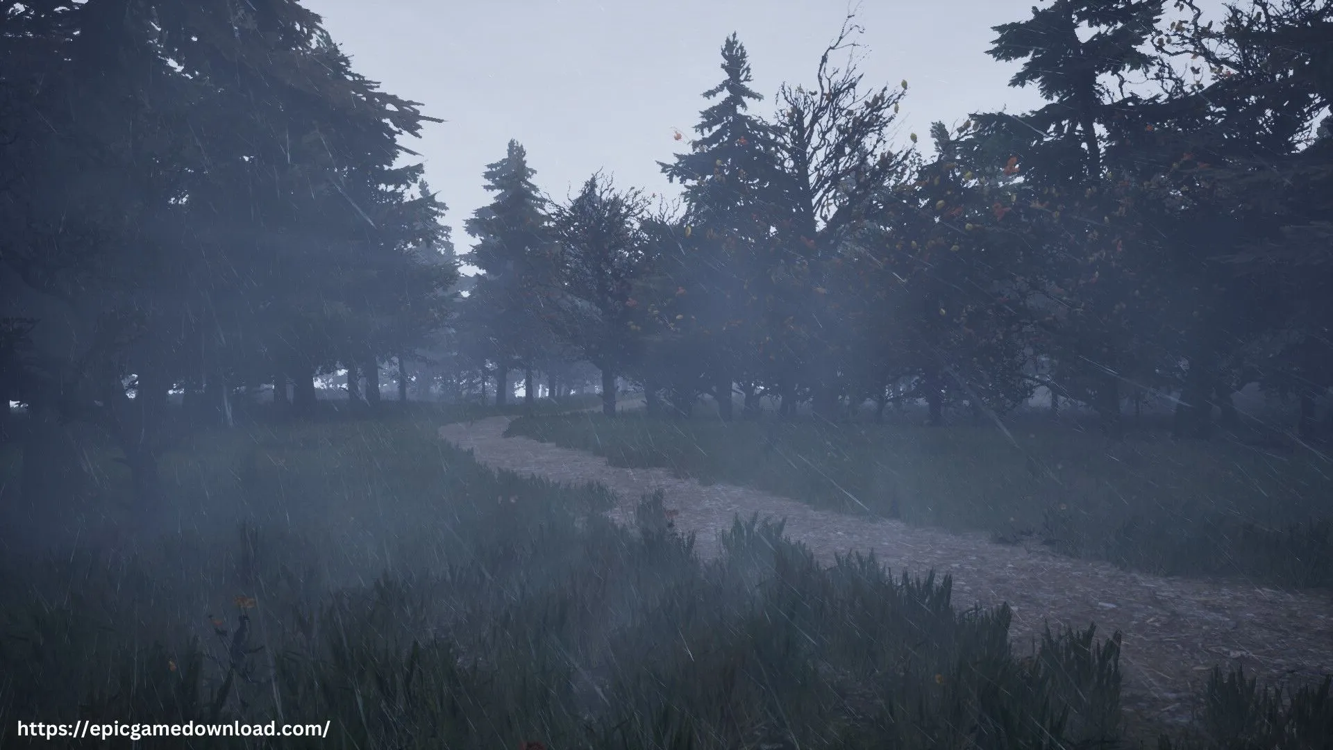 Take a Walk-Rune: A Relaxing Puzzle Adventure